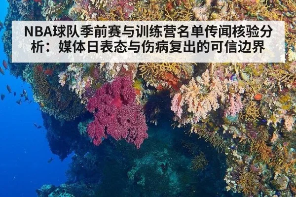 NBA球队季前赛与训练营名单传闻核验分析：媒体日表态与伤病复出的可信边界